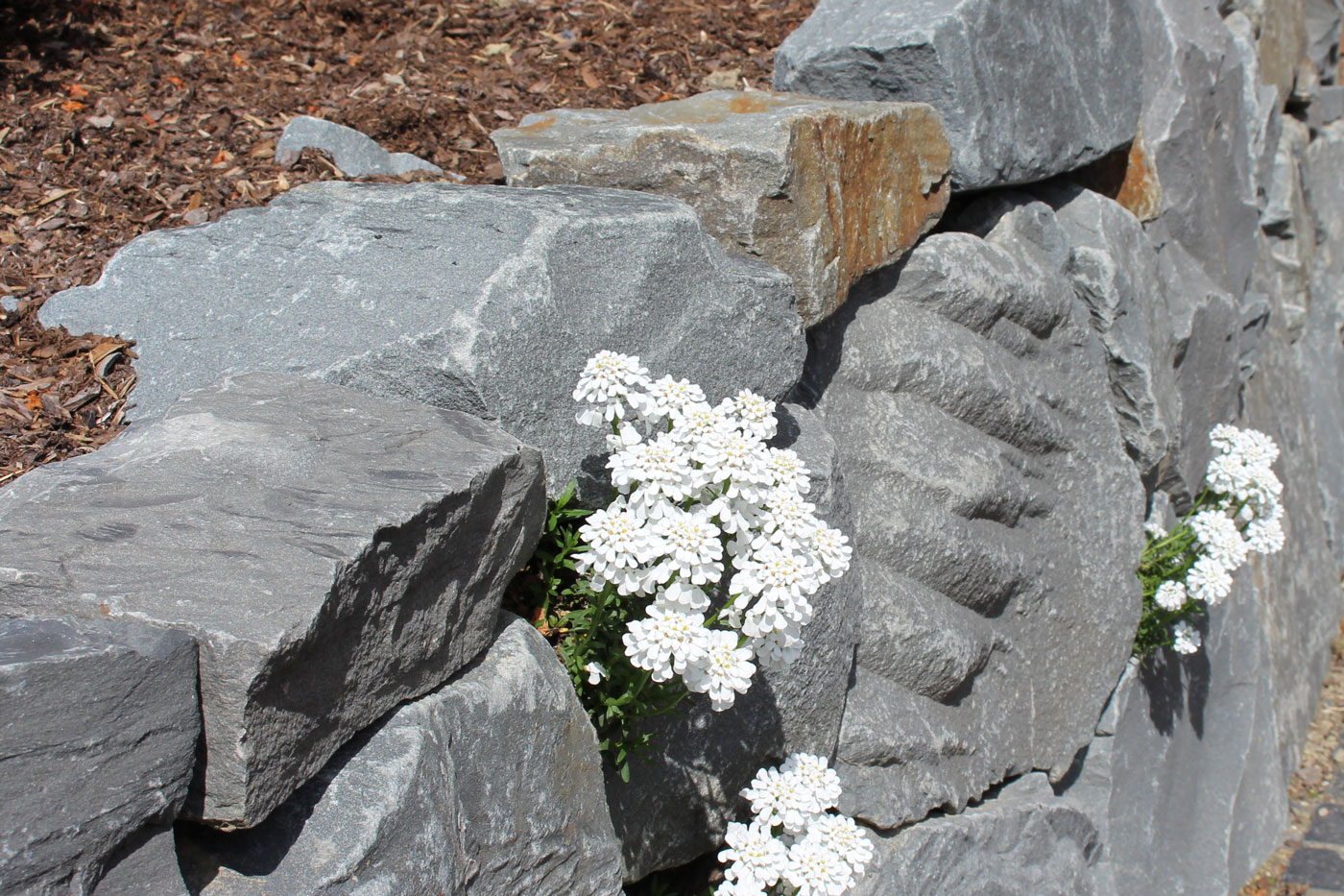 Garten- und Landschaftsbau Martin Grüber | Natursteinmauer